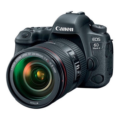 Canon EOS 6D Mark II EF 24-105mm F/4L IS II USM